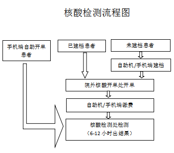 全员核酸采集流程图图片